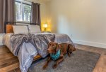 Our pet friendly homes allow your furry friends to stay cozy at night with complementary dog beds. 